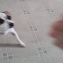 추적 60병