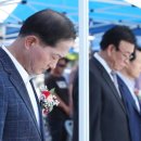 고양고양 이미지