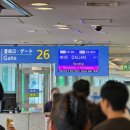 아이브호텔(IVE hotel) | 다롄(대련)/다롄 저우수이쯔 국제공항, Qingni No.8 Hotel Apartment, 다롄마켓(Dalian Shopping Mall)]