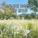 거창여행 창포원 산책 후기｜초록 풍경 가득했던 거창 가볼만한곳