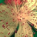 침앤뜸한의원 | 관절이 삐걱거릴 때 내비게이션이 알려준 곳! 강북안정한의원 방문기