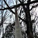 여수 235 이미지