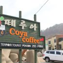 관광펜션 곰 이미지