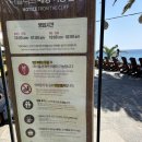 더클리프 | 제주 중문카페 오션뷰 맛집 더클리프 애견동반 후기