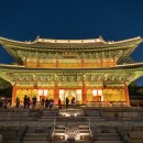 생활속의 조경이야기(야간) 네이버블로그