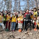 소나무정형외과의원 이미지