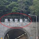 부산터널 2 이미지