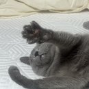 피자월드 이미지