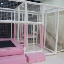 한우미담 이미지