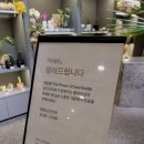 아네트플라워잠실 이미지