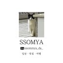[전포 미용실 추천] &#34;멜로아 헤어스튜디오&#34; 솔직 방문 후기｜신데렐라 클리닉 후기｜헤어클리닉 추천