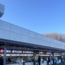 명상주차장(대금산 아래) | 뮤지엄산 서울근교 원주 실내 가볼만한 건축 박물관 미술관 명상 싱잉볼 음악 세러피 체험 후기