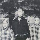동상용기네