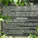 대영목장 이미지