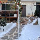 12th forest 이미지