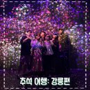 추석여행 : 강릉편(내돈내산 아르떼 뮤지엄, 영화 베테랑 2 후기)