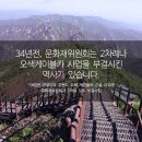 천인카 Daum카페