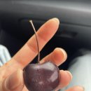 적목리 용소폭포 화장실 이미지