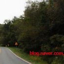 경기도 안성시 고삼면사무소 이미지