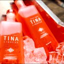 티나 엘이디(TiNA LED)