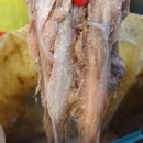 한경희광천토굴새우젓 이미지