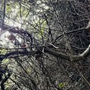 화산농장3 이미지