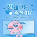 태산정보통신 이미지