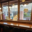 우동야 | 성심당 우동야 DCC점 후기 대전 가면 꼭 먹어야 하는 이유