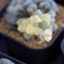 대옥농장 이미지