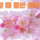 멍shower(멍샤워) 이미지