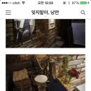 브래드윤 이미지