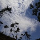 축령산 산소길(1구간) 이미지