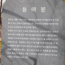 사일구 이미지
