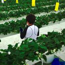 (주)서진팜 이미지