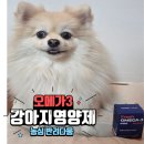 리온유통 | [반려다움] 내 강아지를 위한 반려동물 영양제 프레쉬 오메가3 mini 찐 후기