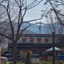 황금성반점 - 제주시 | 황금성반점