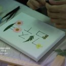 플라워 테라피(B) 이미지