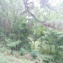 장마루보건진료소 이미지