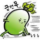 가야경 네이버블로그