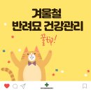 가평동물병원 이미지