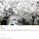 고복수변공원 이미지