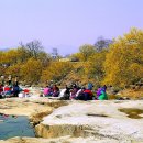 ☞ 내고향 구례 산수유 꽃 축제 안내를 ..... 이미지