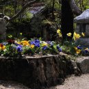 수덕식당 이미지