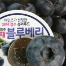 대왕농장1 이미지