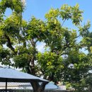 당산마루 이미지