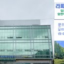 라파엘 요양병원 네이버블로그