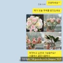 오버리히트 이미지