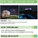 동북미디어 이미지