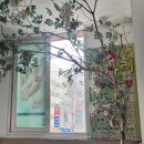 쎄븐체형관리 이미지