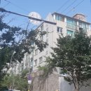 서구-01-76 이미지